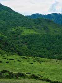 成都周邊｜邂逅川版阿勒泰的美景