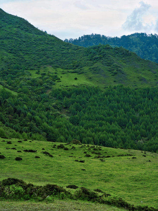 成都周邊｜邂逅川版阿勒泰的美景