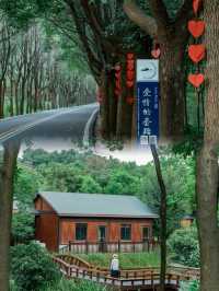 江浙滬小眾自駕線路溧陽1號公路美哭了趕緊收藏