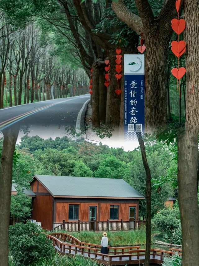 江浙滬小眾自駕線路溧陽1號公路美哭了趕緊收藏