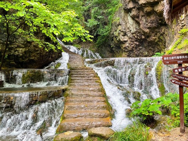 北方第一瀑：河南洛阳栾川王府竹海
