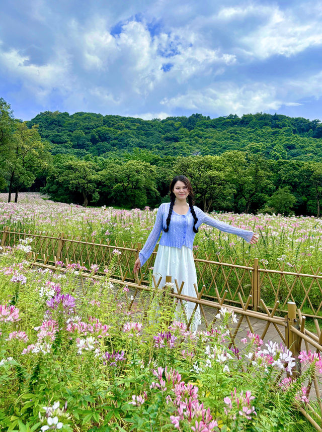 7月1日｜黃埔創新公園｜很出片^_^