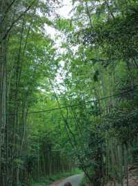 彭州陽平玄觀