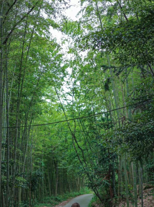 彭州陽平玄觀