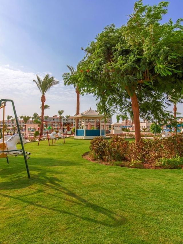 🌴🌊 Hurghada's Hidden Gem: Dana Beach Resort 🏖️