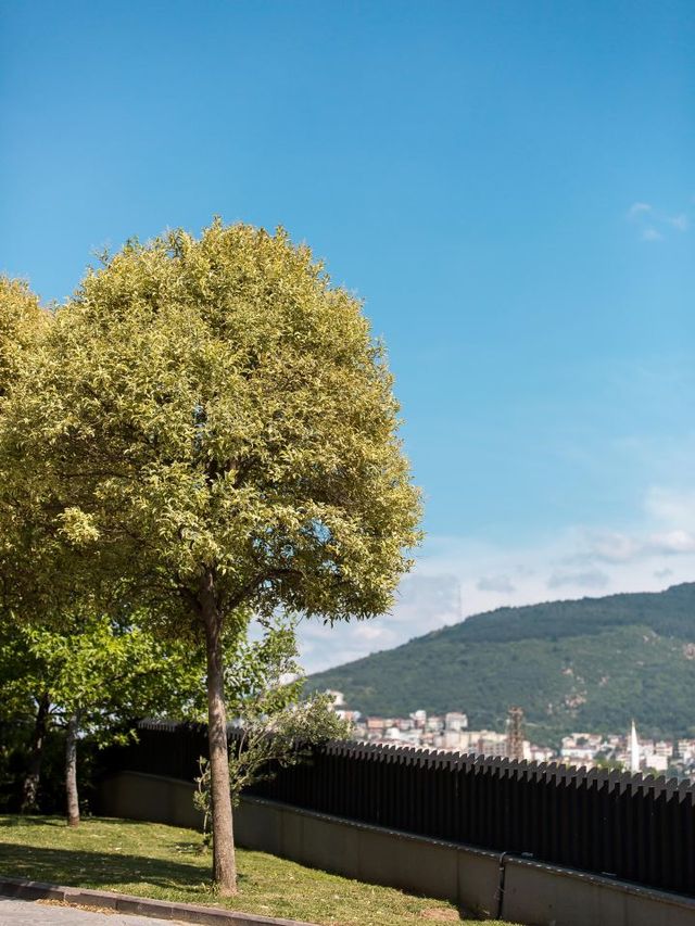 🌟 Bursa's Best: Luxury & Culture at Sheraton! 🏨✨