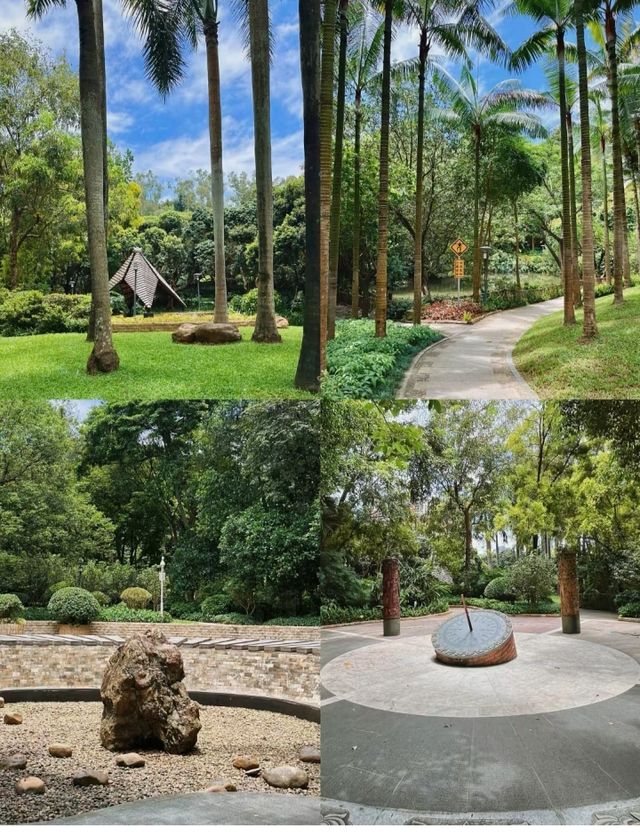 隱藏在福田的小眾公園大樹張力十足可搭帳篷