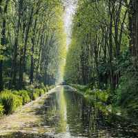Escape the hustle and recharge at Binhu Forest Park!