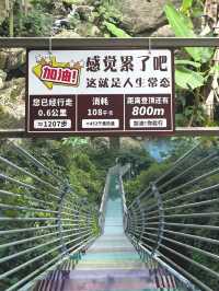 炎炎夏日為我們帶來無盡的舒適與愜意