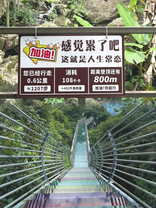 炎炎夏日為我們帶來無盡的舒適與愜意