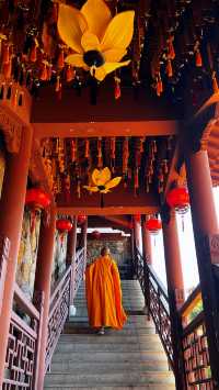 深圳這一寺廟廣結善緣樂善好施，中午管飯（免費）