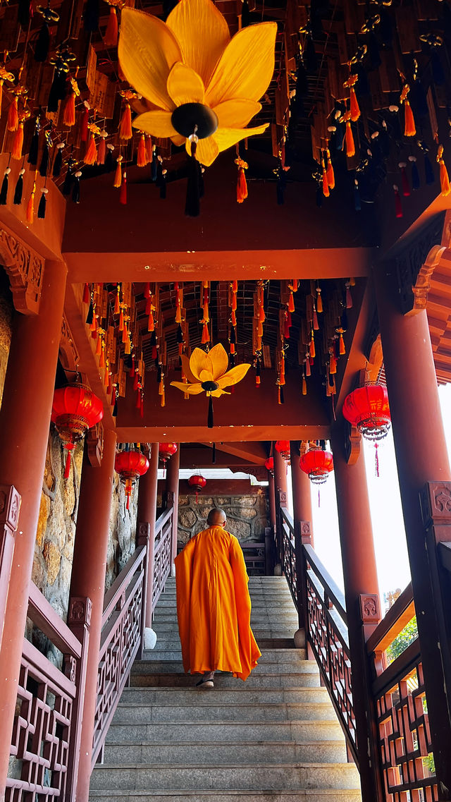 深圳這一寺廟廣結善緣樂善好施，中午管飯（免費）