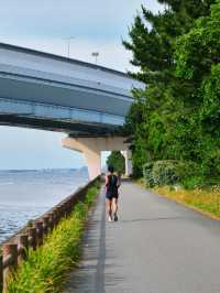 福岡半日Citywalk，不要錯過這條絕美海岸路線