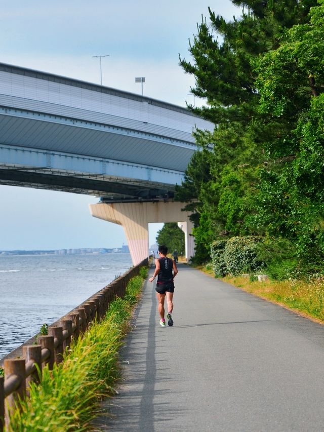 福岡半日Citywalk，不要錯過這條絕美海岸路線