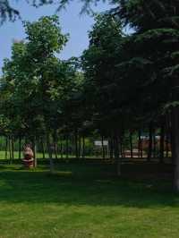 鄭州這個新開放的濕地公園簡直贏麻了。