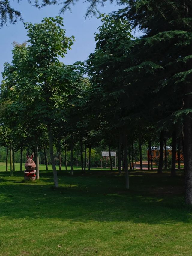 鄭州這個新開放的濕地公園簡直贏麻了。