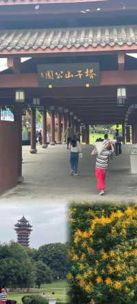 直達成都地鐵,塔子山公園,是個賞秋好去處。