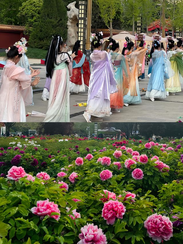 菏澤。