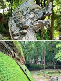清邁烏蒙寺附近這家新開的立鼎世酒店～周圍可以逛的地方也太多了