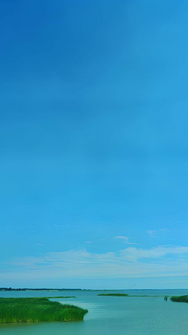 人生是曠野。