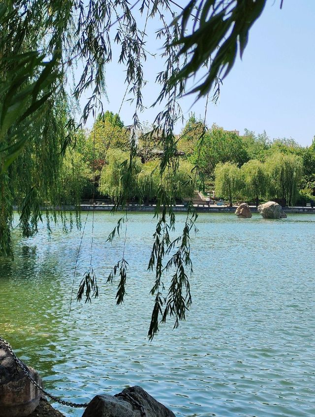 水天一色，畫中遊：泰安南湖公園，都市綠洲的詩情畫意。