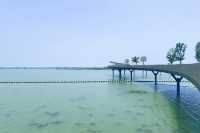 宛如一條銀色綢帶的景觀橋~~元蕩湖。