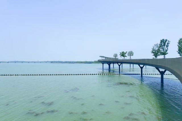 宛如一條銀色綢帶的景觀橋~~元蕩湖。