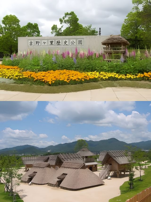 佐賀親子遊好去處，個個都絕美。