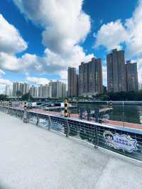 上海·蘇河長風公園碼頭。