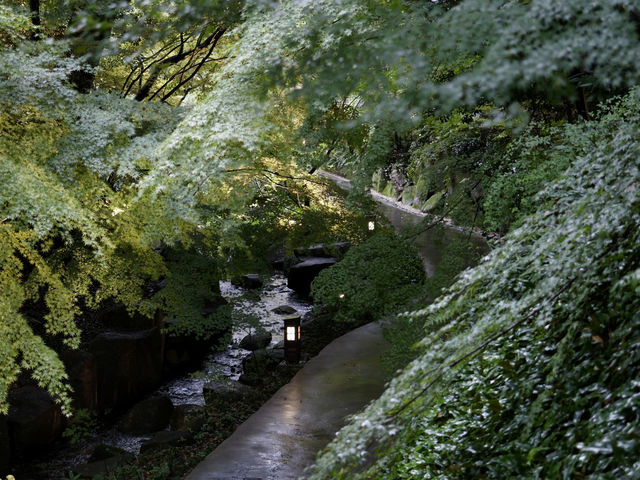 雨中漫步德川園：日本名古屋的靜謐之美 