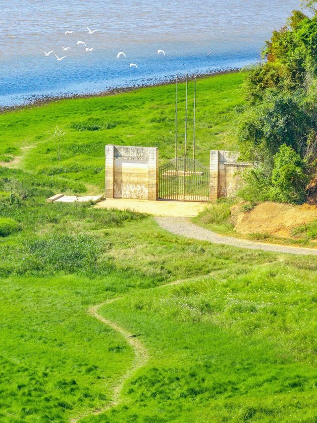 江西永修南昌後花園的草海秘境。