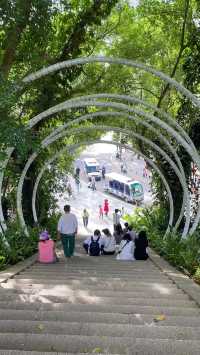 深圳仙湖植物園 | 邂逅自然之美。