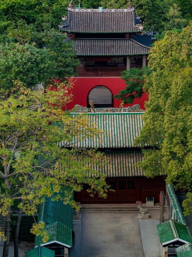誤入廣州新開園林免門票|很出片啊。