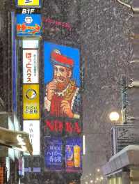 Winter in Hokkaido truly fulfills all your snowy dreams