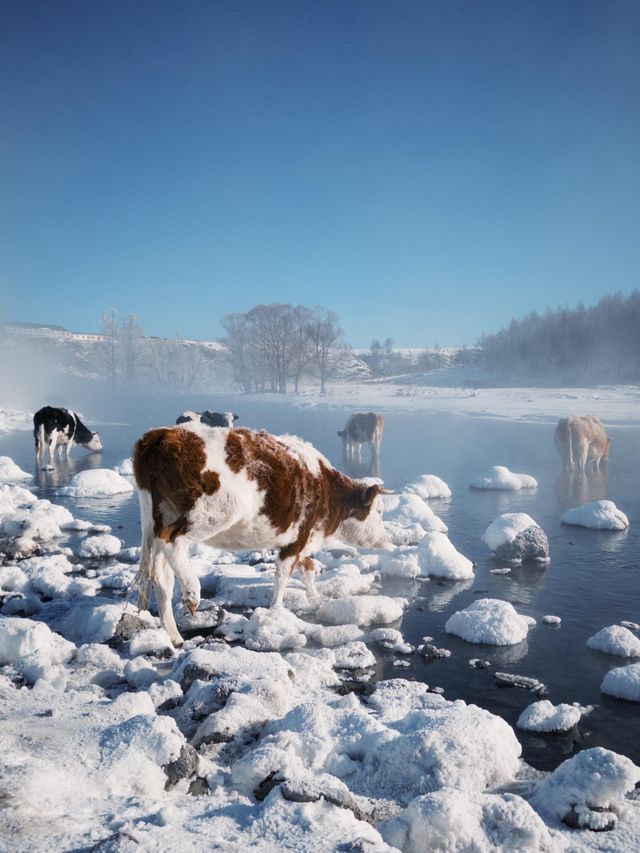 比東北人少，比新疆便宜的小眾觀雪地。