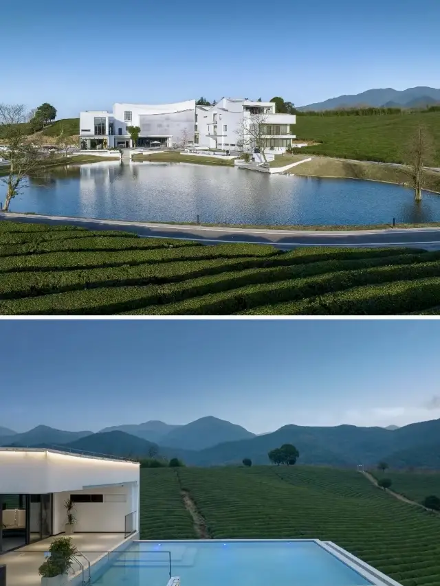 Secluded Tea Garden Hot Spring B&Bs Near Shaoxing｜Xinchi Sakura Valley -.