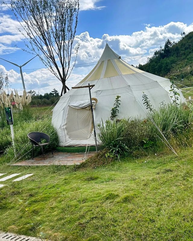 天界花園·非凡之旅：高坡雲頂花海的秘密。