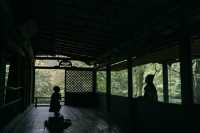 紅葉還未全盛，雨天也等不及飛到京都。