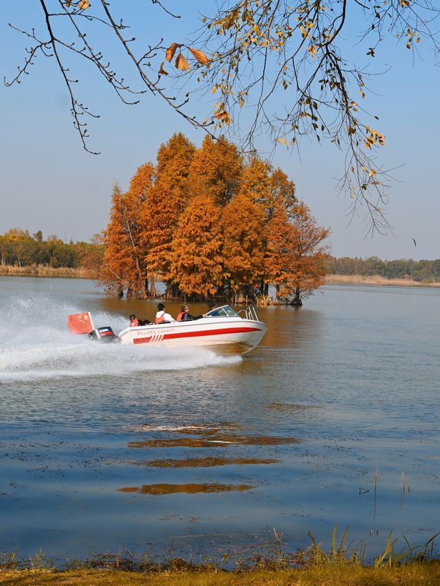 總要下趟江南吧 | 常熟秋日漫行 。