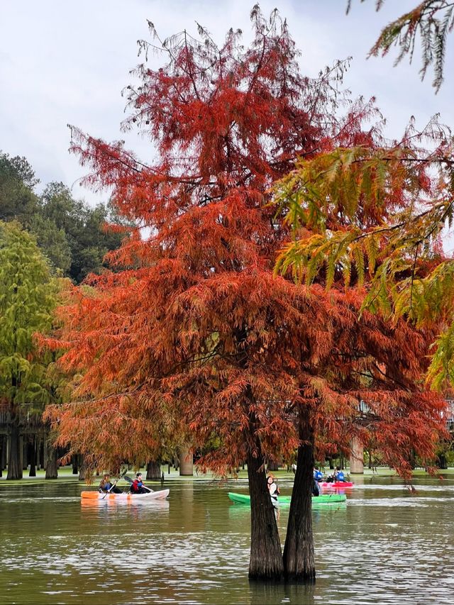 杭州一座治癒系的後花園——青山湖