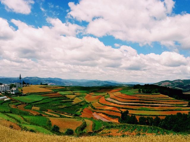 Amaxing Colors of Dongchuan: Mesmerizing Landscape
