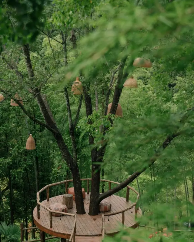 Stay here before it gets too popular! Liuyang!