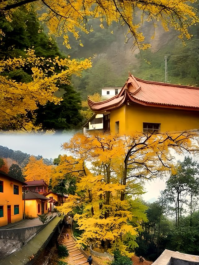 去了一趟白仁岩禪寺，兩天花費多少錢
