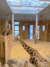 薩爾布呂肯：動物園