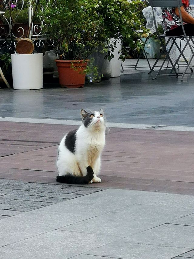 週末兩日攻略：廣州番禺西坊大院