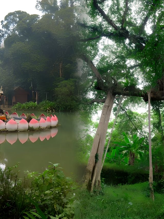 瓊島中行-百花嶺熱帶雨林|||