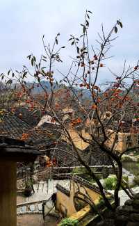 屏南-四坪村