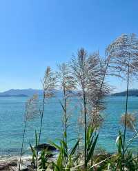 背仔角燈塔，海邊的浪漫守護者