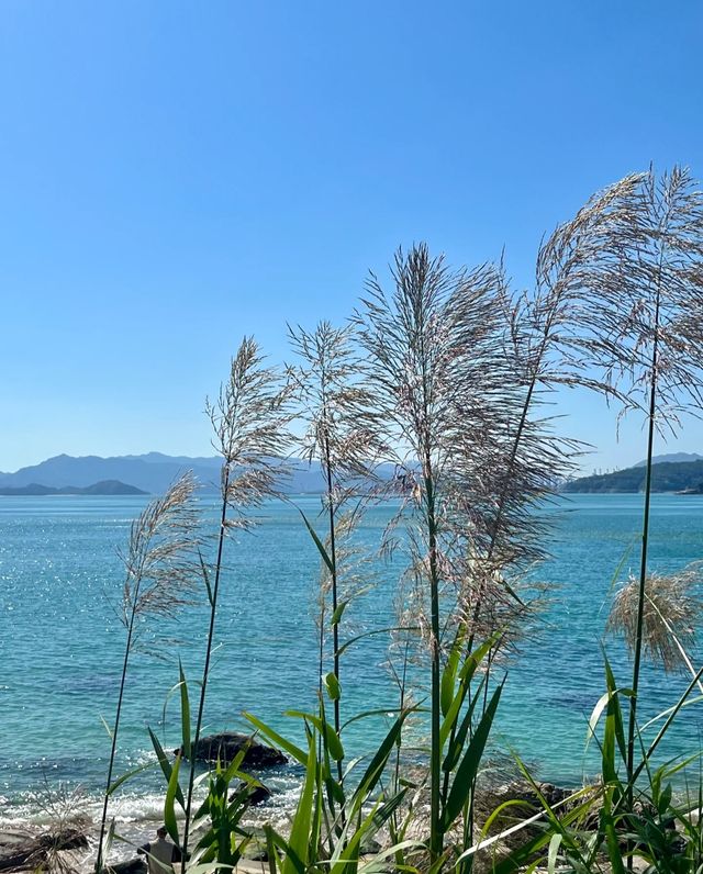 背仔角燈塔，海邊的浪漫守護者