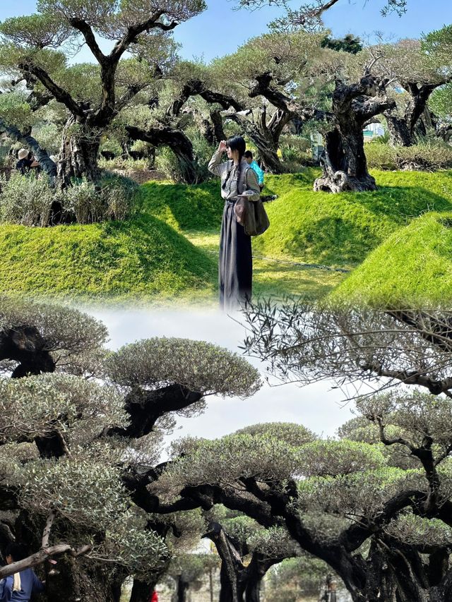真不是Ai ！！佛山拍到奇幻森林